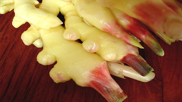 新鲜嫩姜怎么腌制好吃