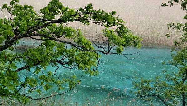 等你，在最美的风景里