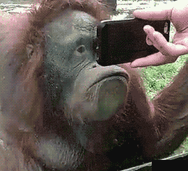 这个是什么怎么抓不到..