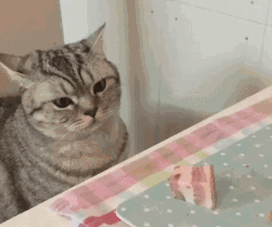 汪：就算你得到我的身体也得不到我的心