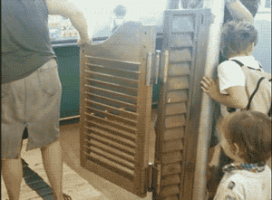 惊不惊喜？刺不刺激？哈哈哈让我措不及防的笑。