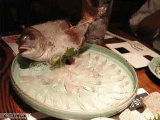 我才不害怕你呢！是尾巴它怕啦！