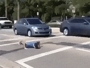 能活到现在确实不容易