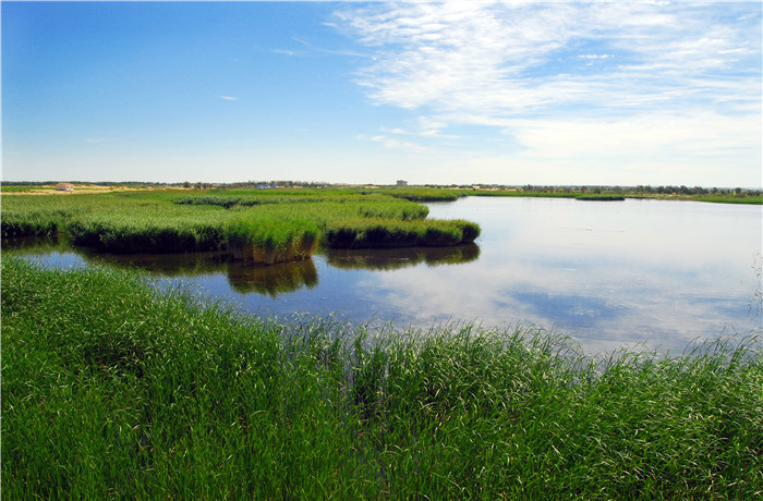 王昭君，在巴彦淖尔弹唱平沙落雁曲