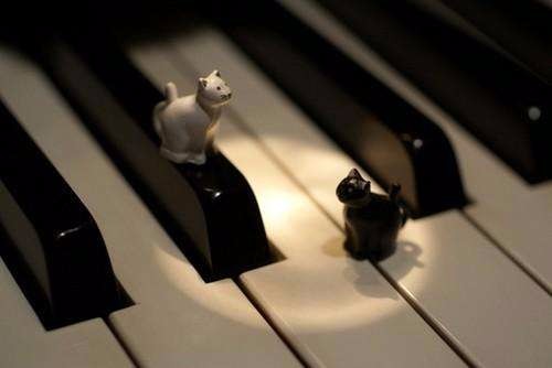 由普京弹奏钢琴引发的思考