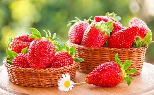 水果蔬菜保存方法