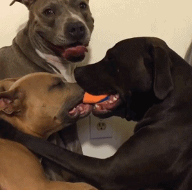 高手之间的对决 看谁的嘴硬