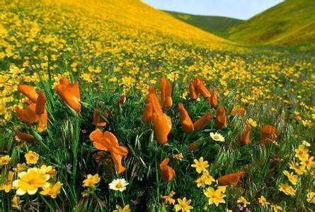 5月，这里是你最不应该错过的地方