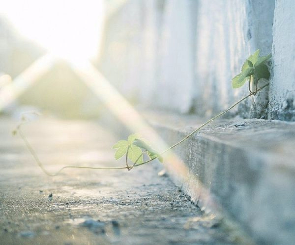 不为取悦他人而难为自己