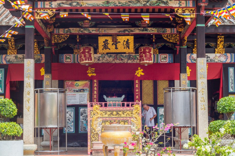 几万条毒蛇在城市寺庙中 百年来从不伤人