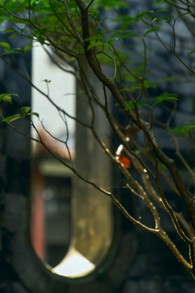 东莞可园，可不可以媲美天上仙宫