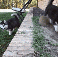 别看我小就可以欺负我 看掌...