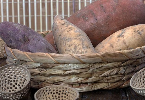 红薯苗的营养价值 红薯苗价格多少钱
