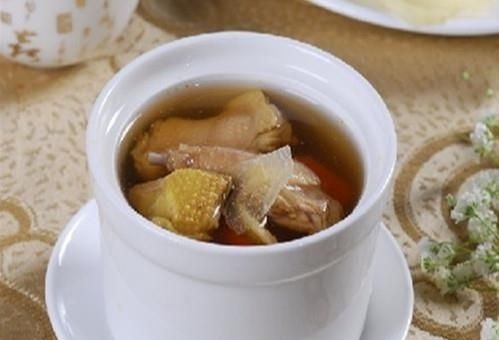 鸽子的营养价值