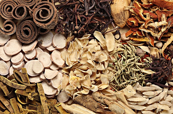 喝中药能吃螃蟹吗