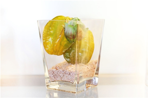 吃杨桃的禁忌 吃杨桃的功效多多