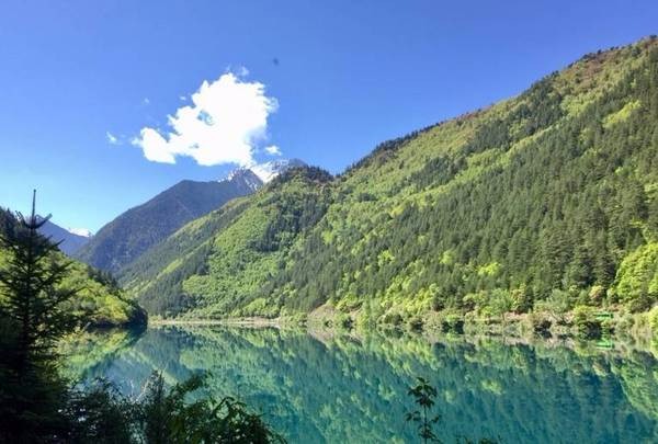 等你，在最美的风景里