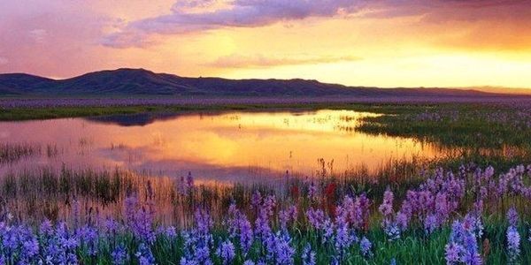 六月旅行目的地排行榜，不负夏日时光