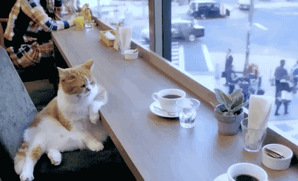 看什么看 瞧你那损塞样