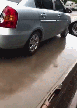 原来山竹是这样吃的，下次试试哈哈哈