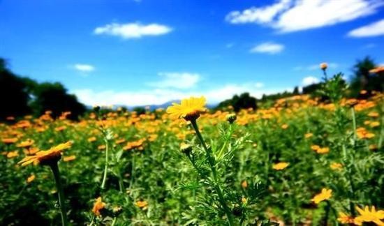 5月，这里是你最不应该错过的地方