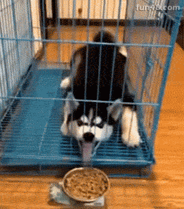 看什么看 不服是吧？有种别跑