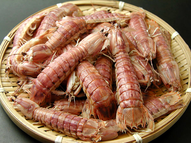 光知道皮皮虾好吃，但这种吃法，你肯定没尝试过！