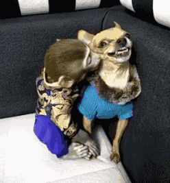 想起夕阳下那奔跑 那是我逝去的青春