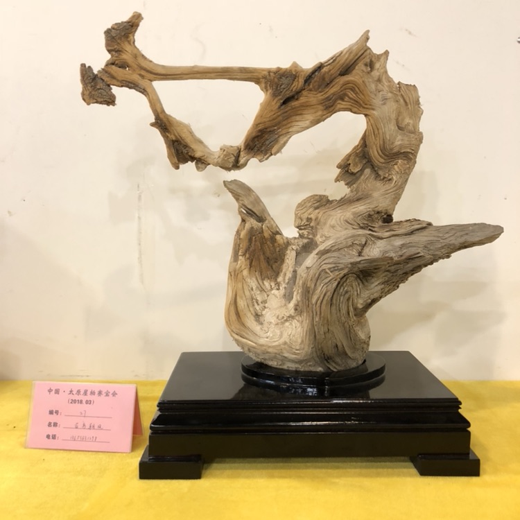 山西赛宝会 I 精品抢先看