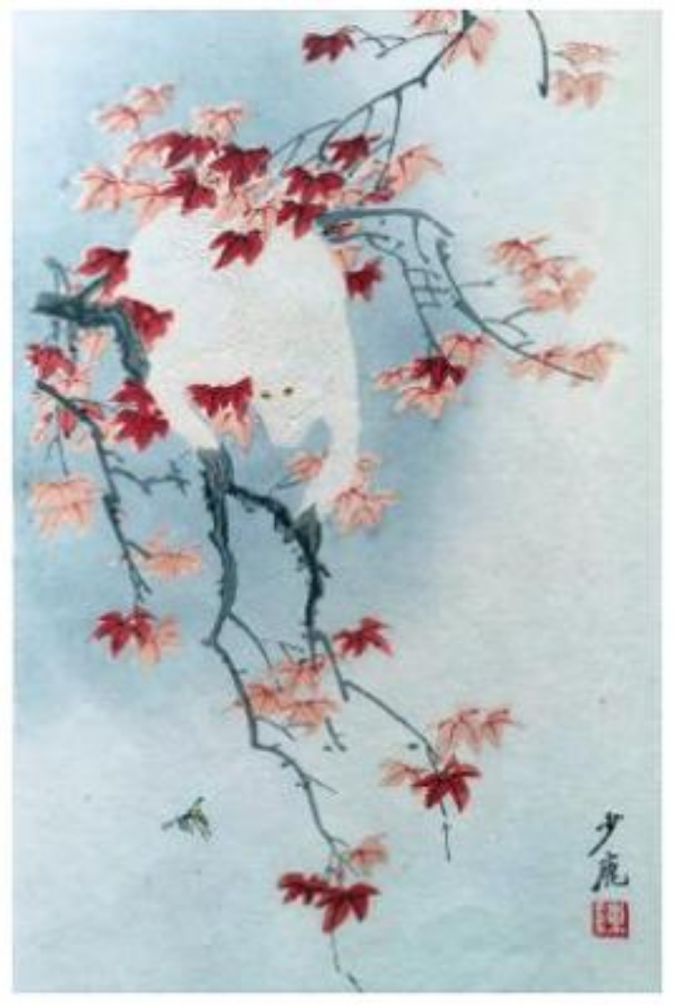 民国时尚：陈少鹿的白猿笺