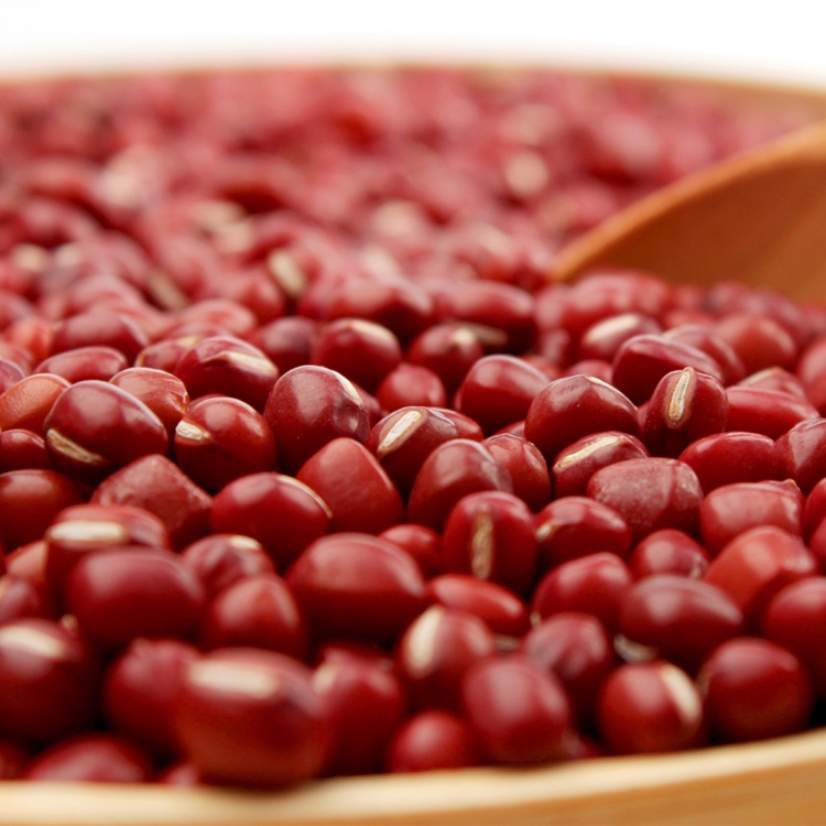 红豆冬瓜皮汤的作用