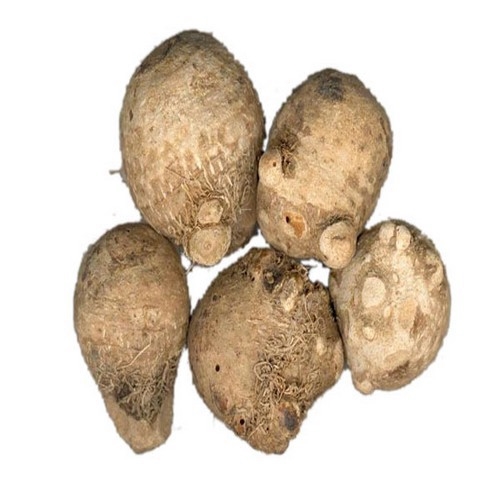 泽泻可以减肥吗