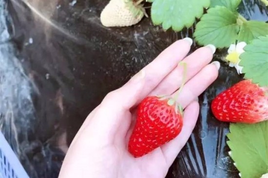 生命的“高危期” 最容易出现的8种疾病