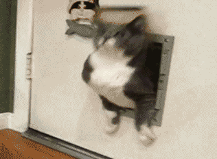 汪：就算你得到我的身体也得不到我的心