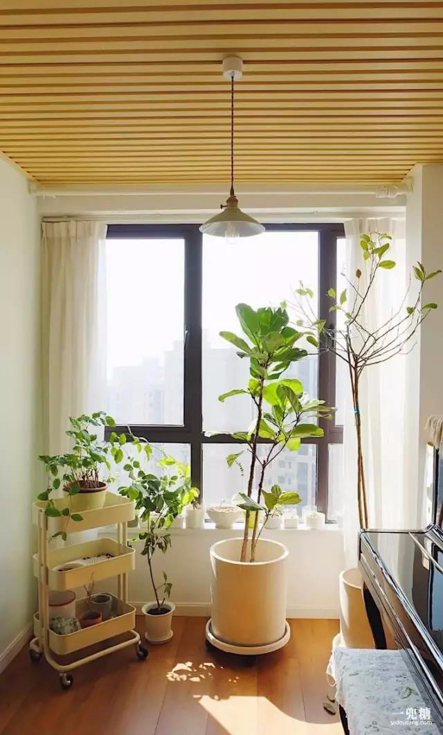 总觉得别人家的阳台美，今天就告诉你到底美在哪里