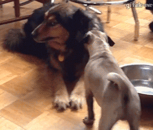 汪：就算你得到我的身体也得不到我的心