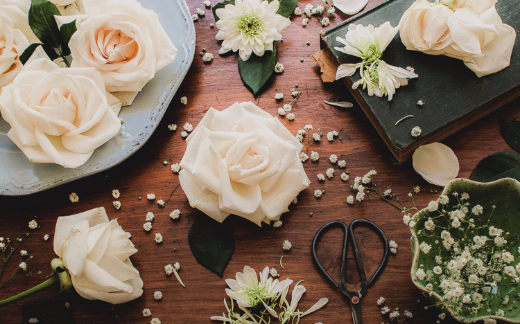 感恩，是心中永远不凋零的花朵