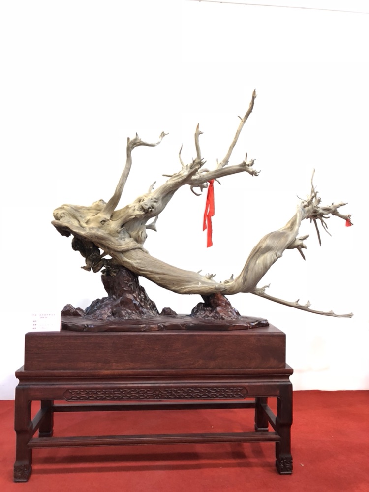 山西赛宝会 I 精品抢先看