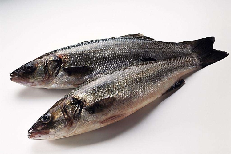 含碘高的食物有哪些