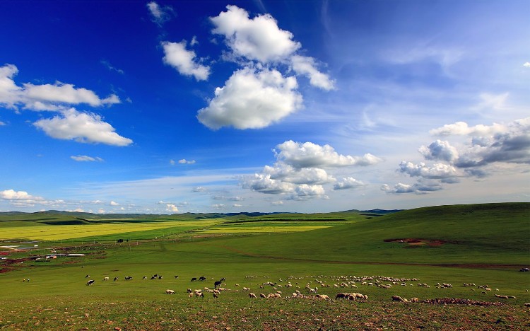 全国旅游时间表，太实用了！（值得收藏）
