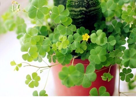 十句最新精选哲理句子，言少祸少