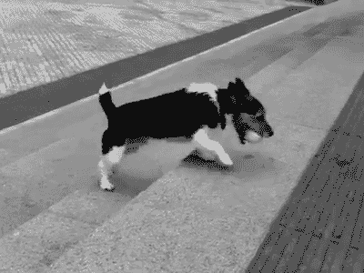 汪：就算你得到我的身体也得不到我的心