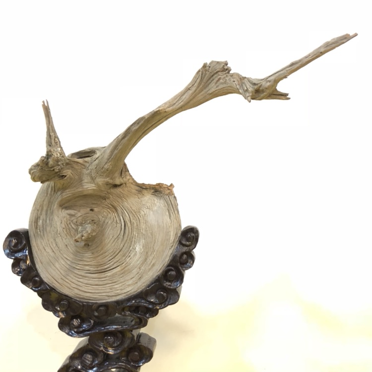 山西赛宝会 I 精品抢先看