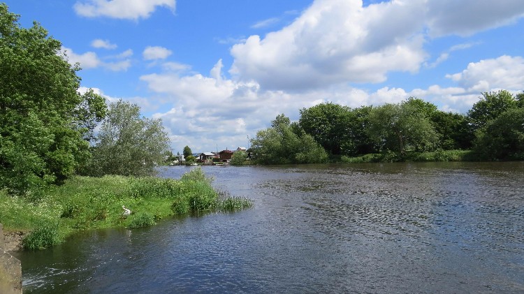 女友闹自杀 男子微信恶语刺激“骂死人”被判赔偿