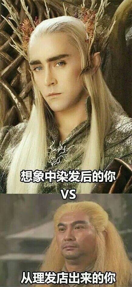 现实总是给你致命一击，哈哈哈简直太形象了！！