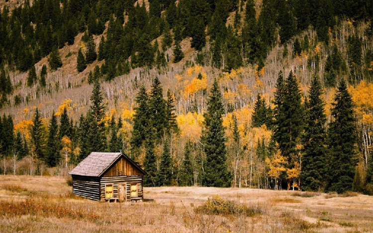 林间小屋唯美自然风景