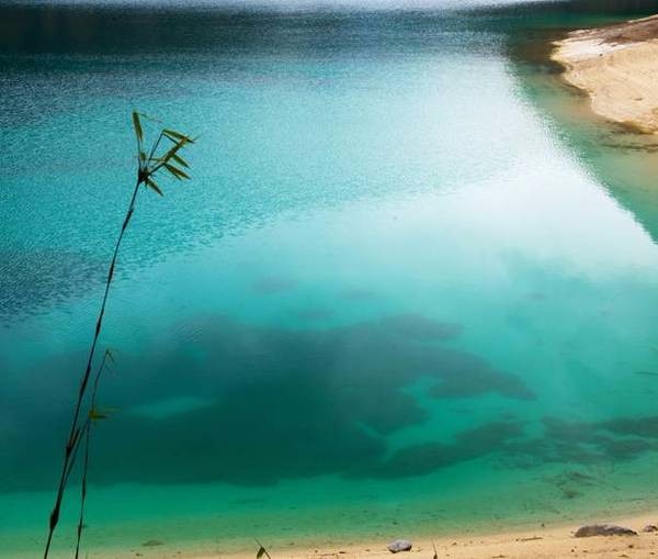 等你，在最美的风景里