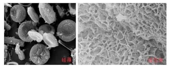 硅藻泥能够除甲醛？别傻了，只能吸附，不能分解！