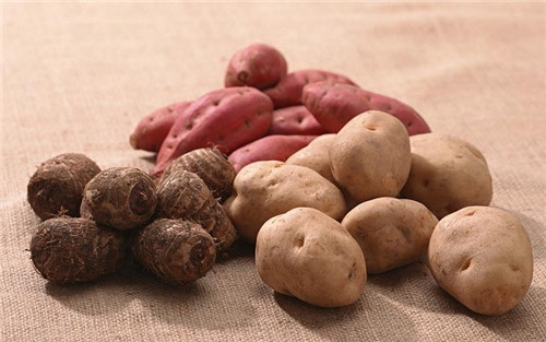 红薯苗的营养价值 红薯苗价格多少钱