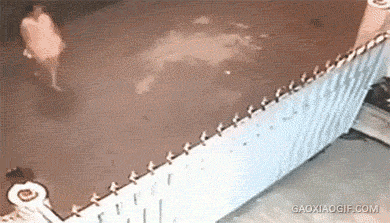 自动刹车系统测试，就喜欢这种自信